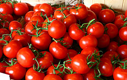 طرح توجیهی تولید رب گوجه فرنگی